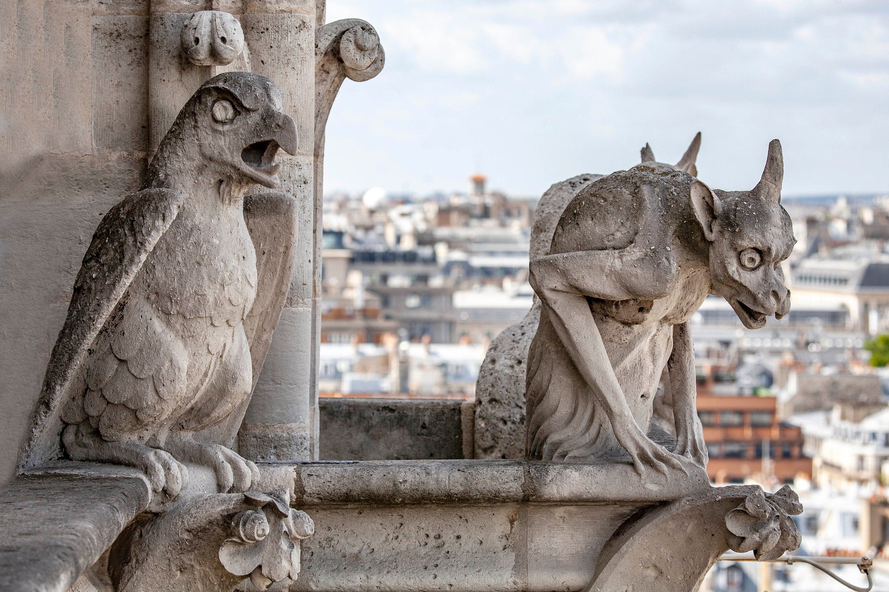 Gargoyles  Notre Dame Cathedral Paris