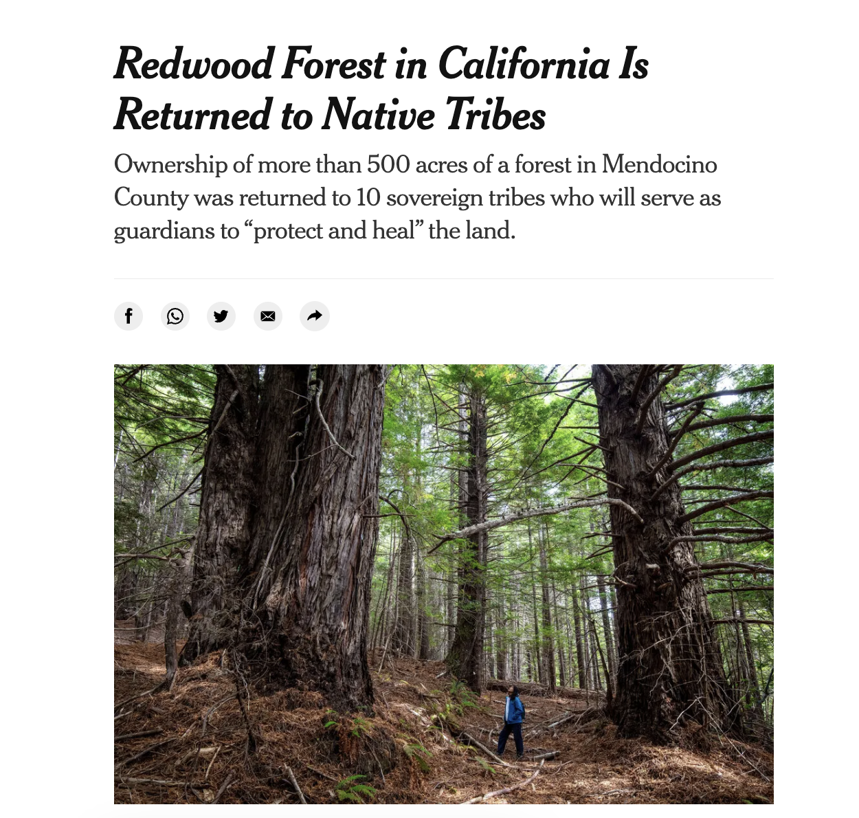 NYT: Redwood Forest in California Is Returned to Native Tribes Ownership of more than 500 acres of a forest in Mendocino County was returned to 10 sovereign tribes who will serve as guardians to “protect and heal” the land.