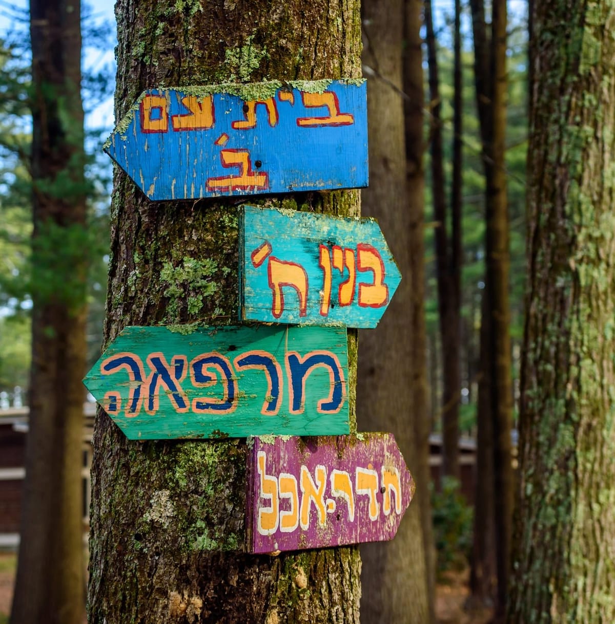 Let's Talk About Sects, Baby