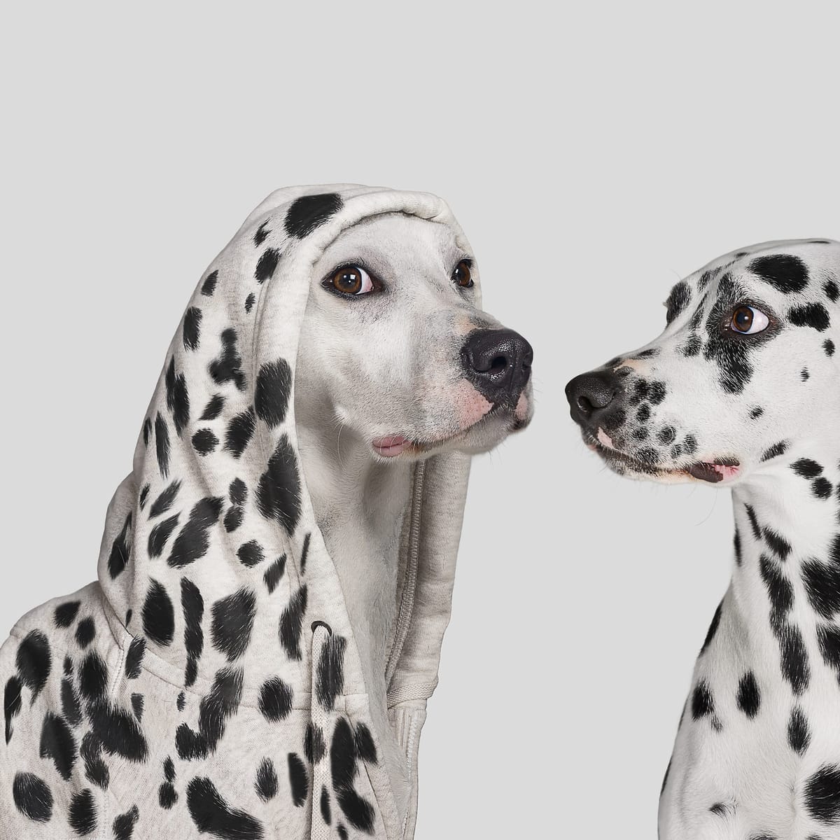 Ask The Rabbi And Each Other! 