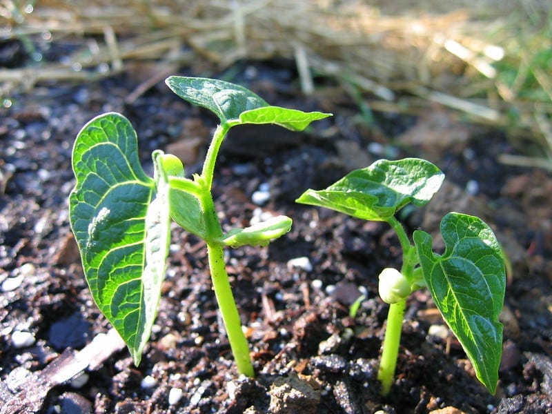 The Story That Keeps Telling Us