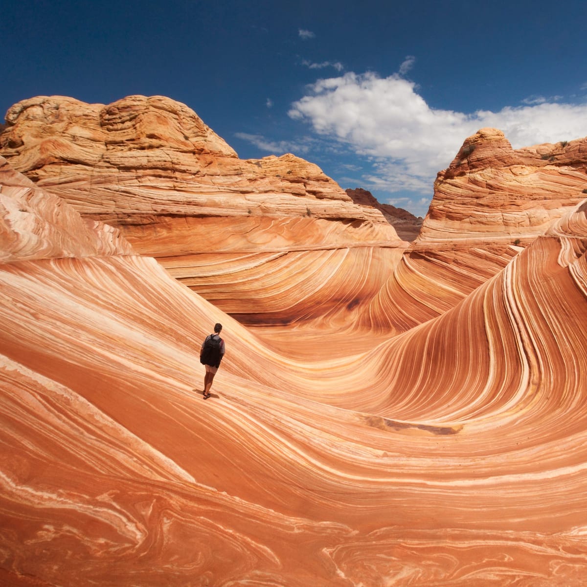 Which Kind Of Going, Though?