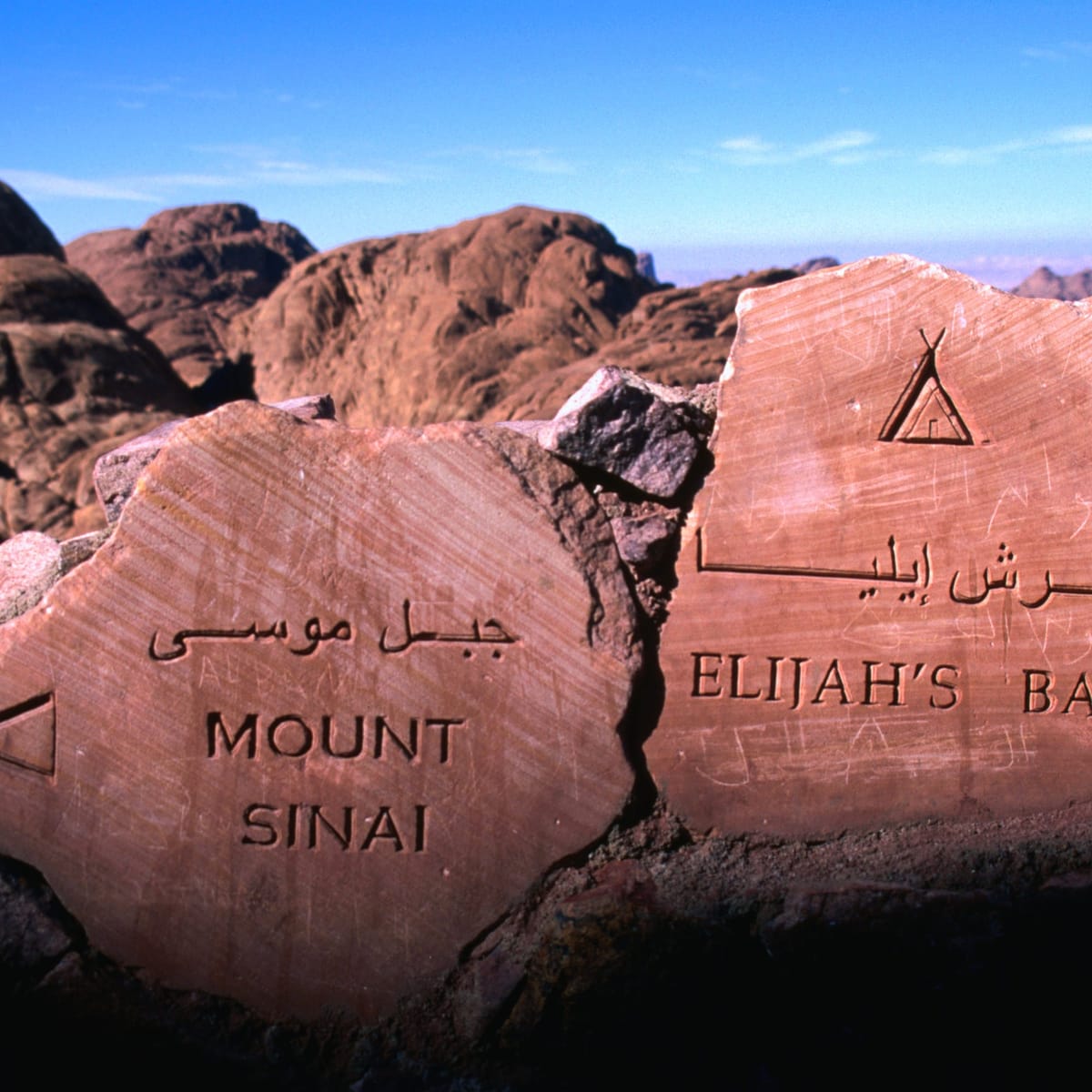 Torah from Sinai, a Symposium