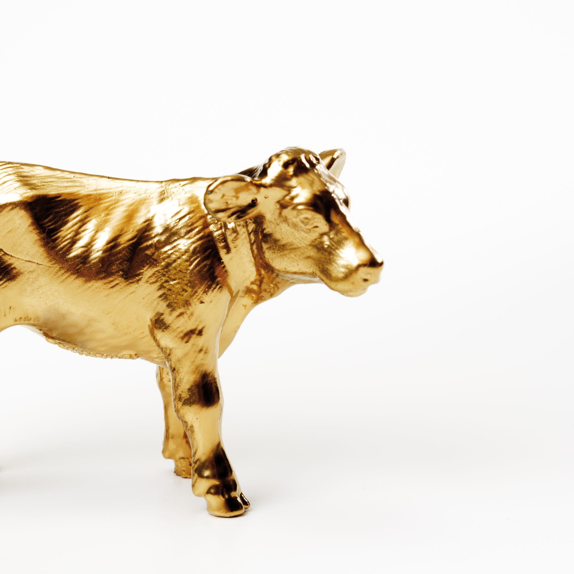 On the Bovine Crime