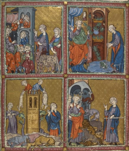 illuminated manuscript depicting four of the plagues