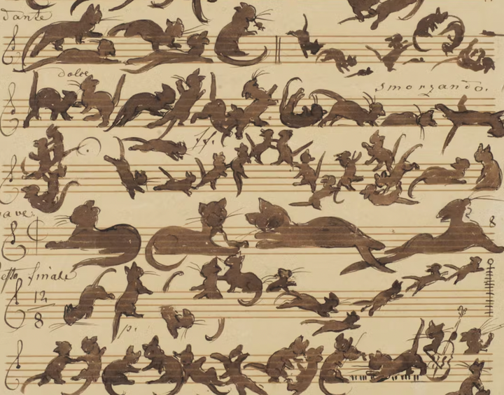 Ask the Rabbis: Opinion time