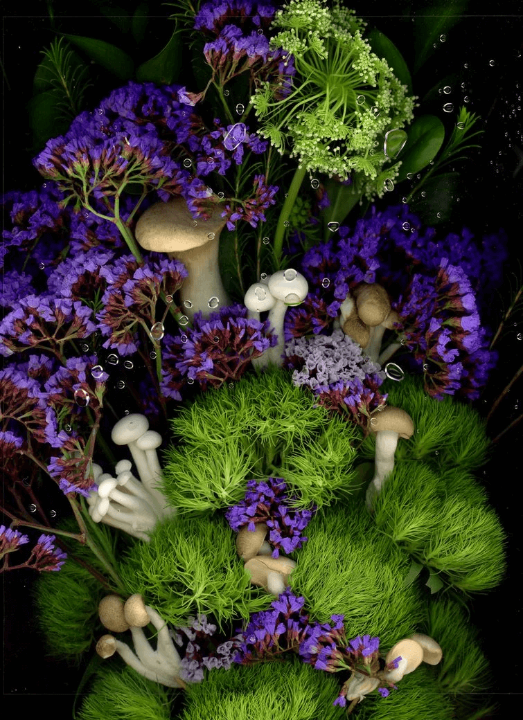 don't sleep on these goodies