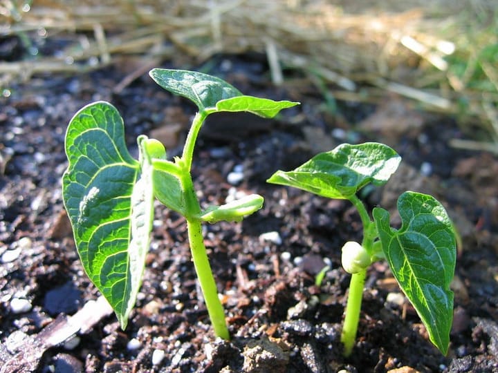 The Story That Keeps Telling Us